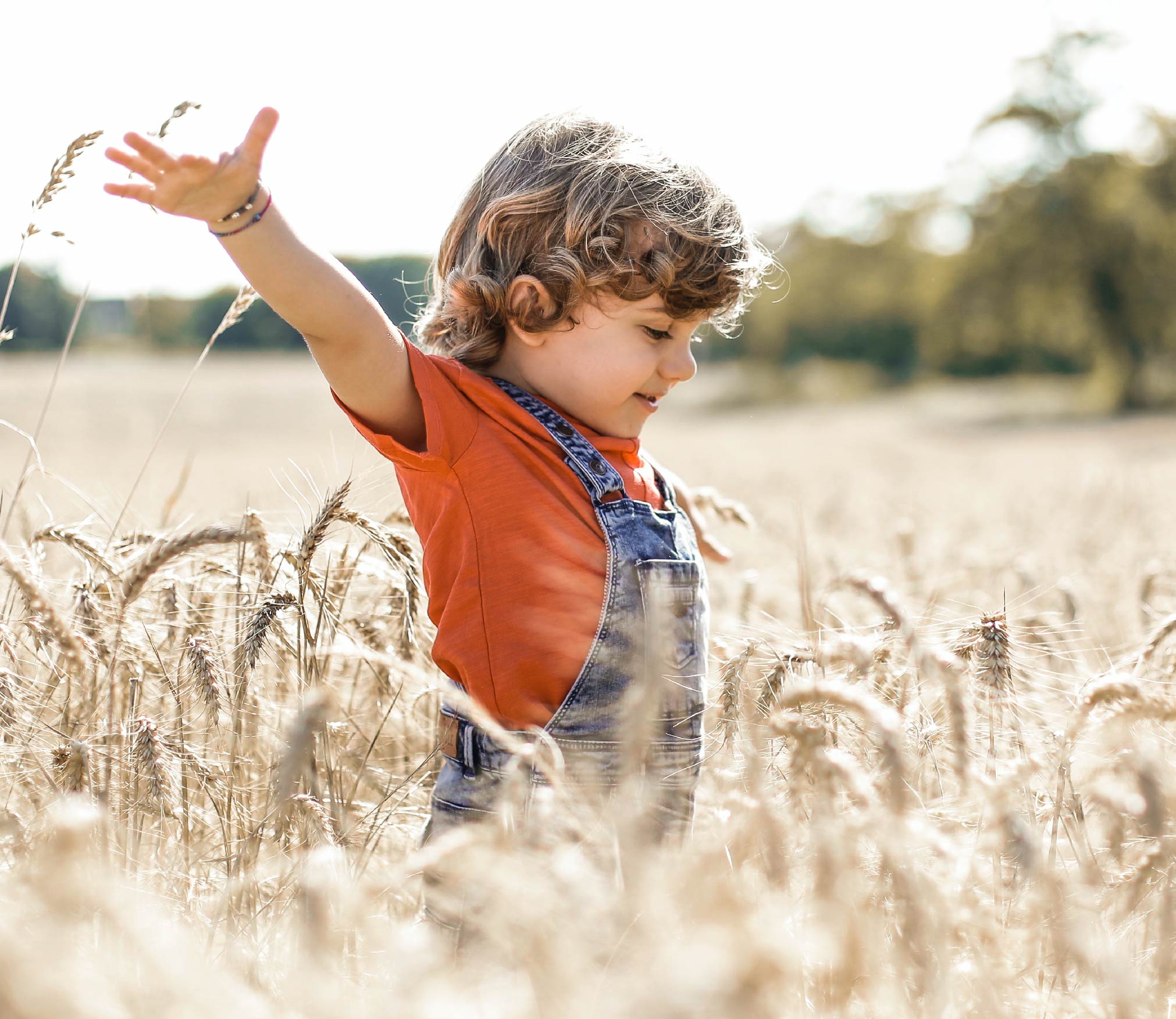 This image for Image Layouts addon
