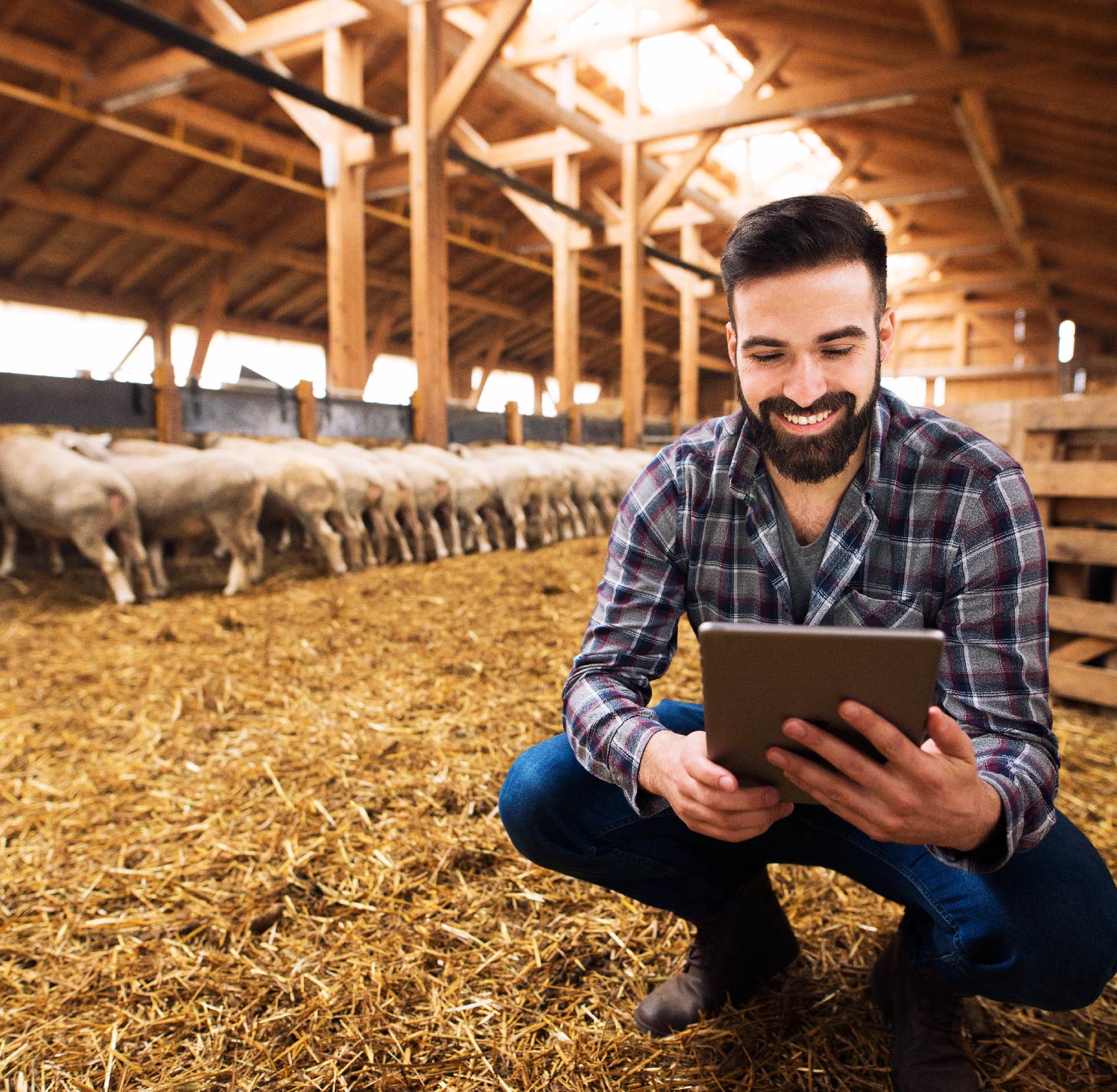 Técnicas de producción agrícola y ganadera